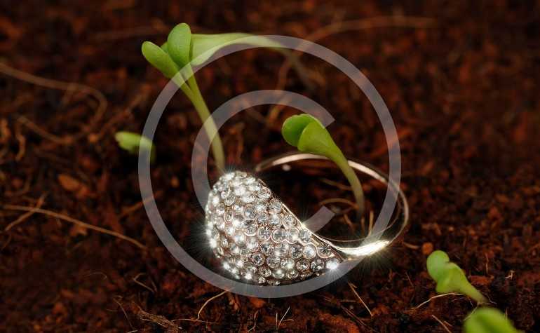Jewellery For Sunshine